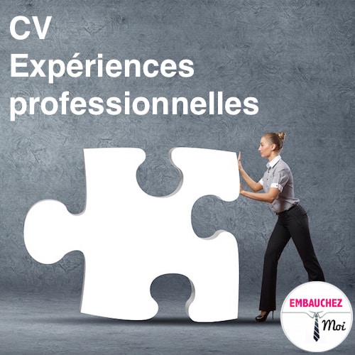 Cv expériences professionnelles